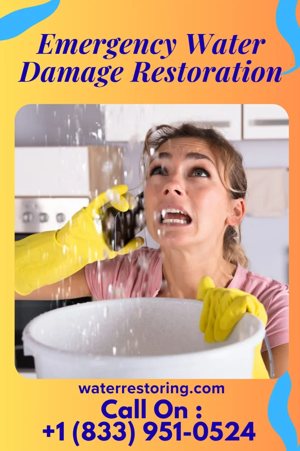 Emergency Water Damage Restoration in Sicangu Village, SD