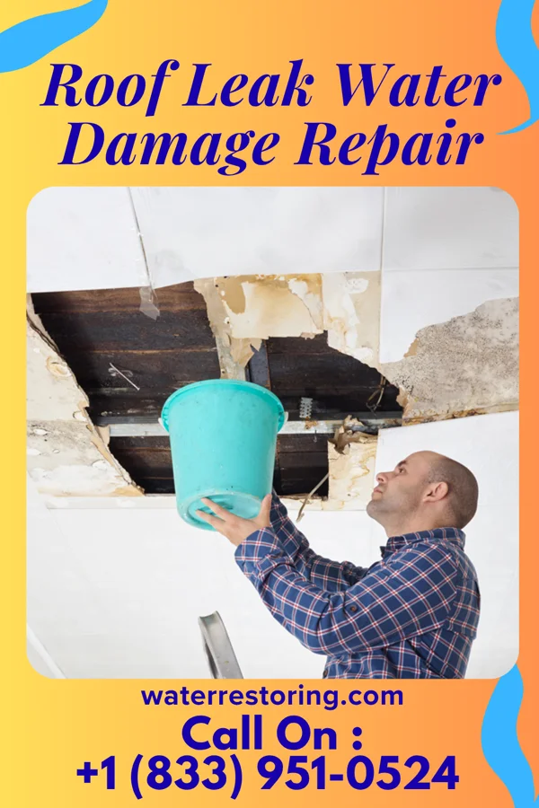 Roof Leak Water Damage Repair in Sicangu Village, SD